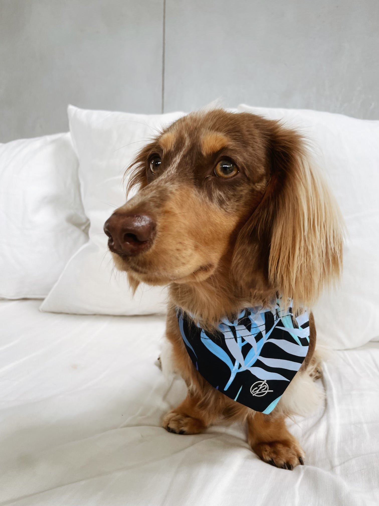 Carra Lee Active BANDANA Tropical Palm Doggy Bandana