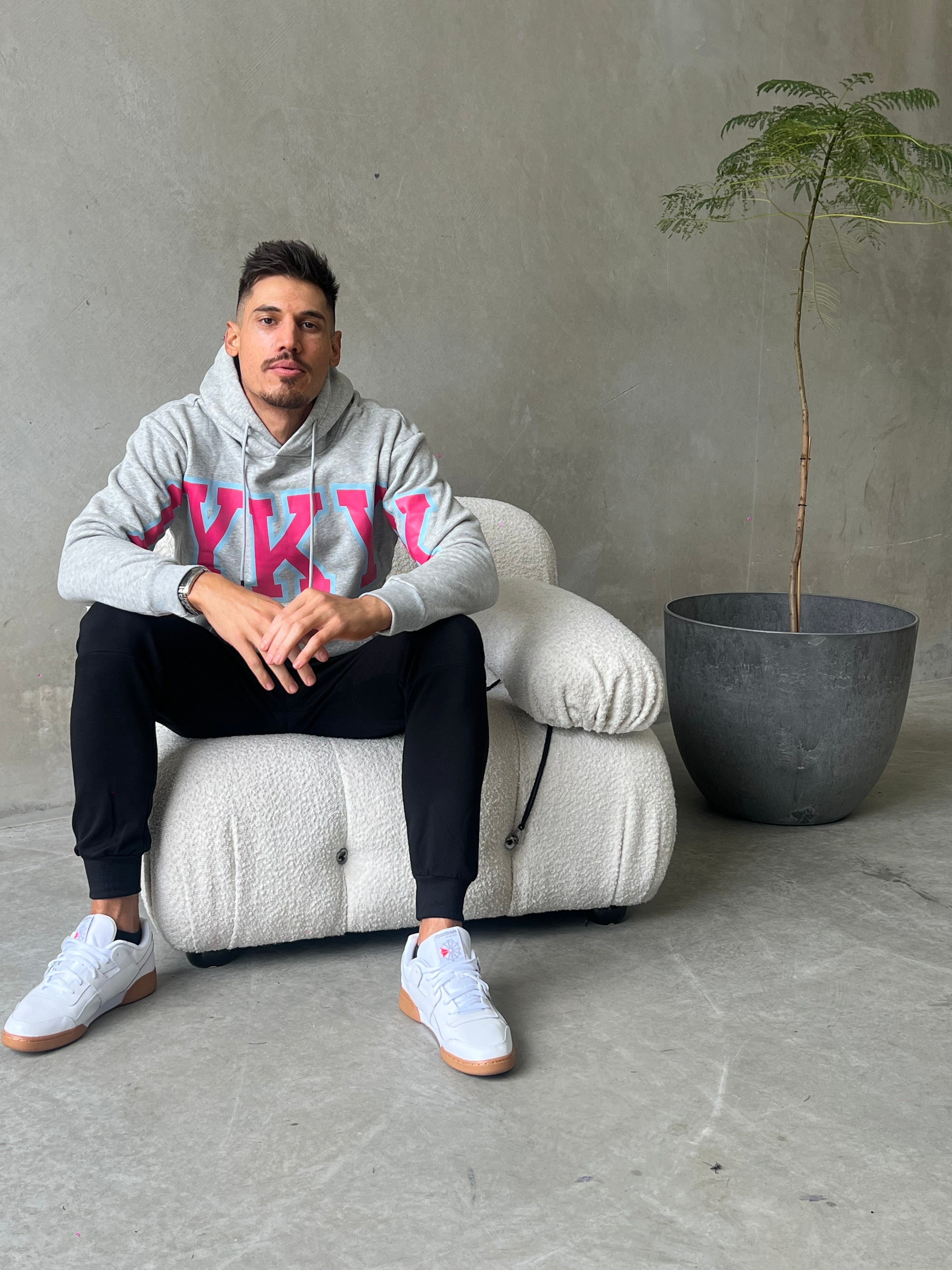 jem sporting Hoodie Embellished hoodie - GREY/PINK/BLUE