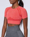 musclenation Classic Seamless Tee - Poppy Marl
